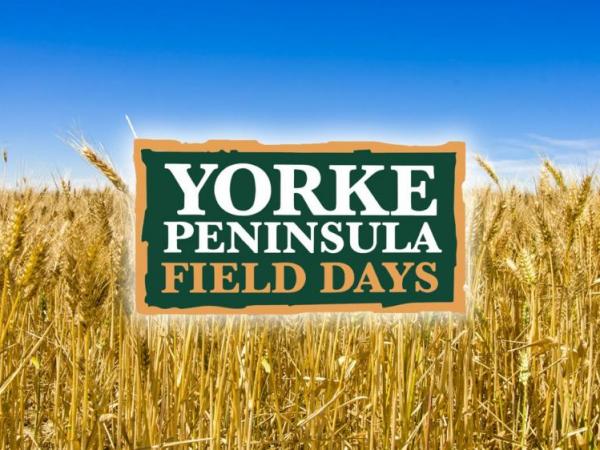YP Field Days