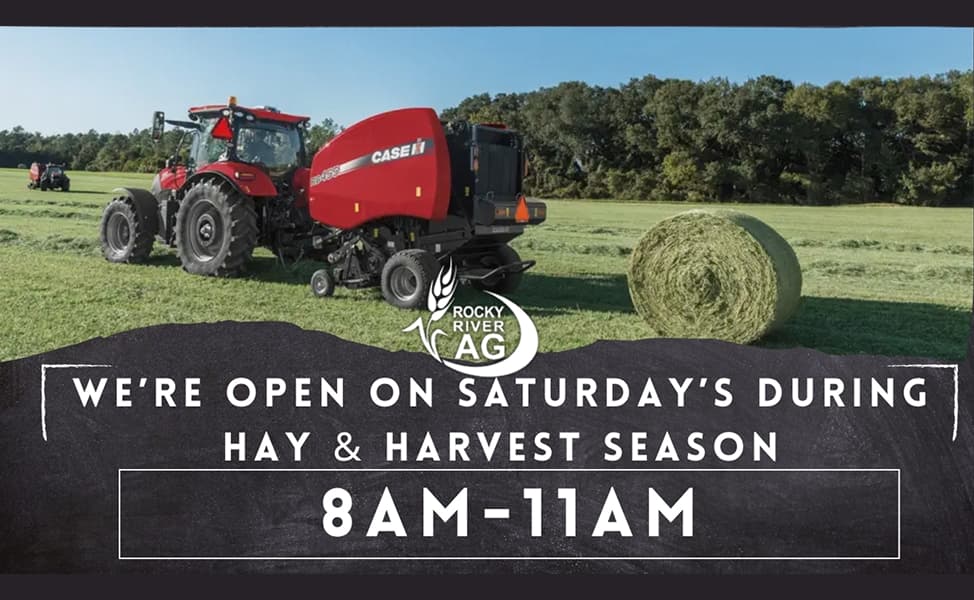 Saturday opening hours